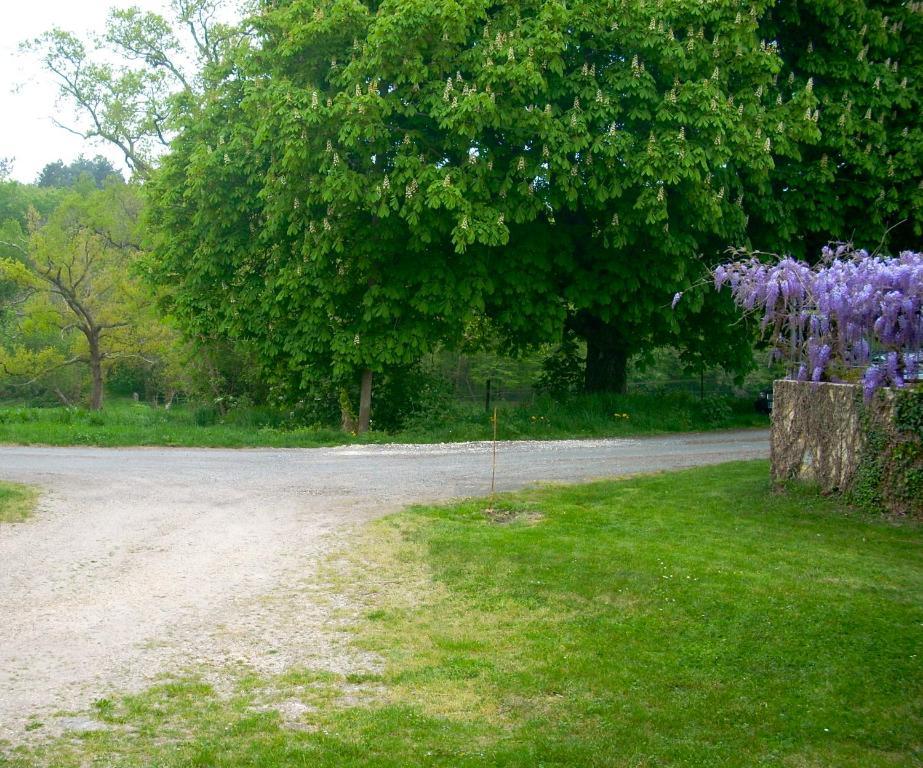 Petit-Palais-et-Cornemps Sous Les Marronniers B&B 외부 사진
